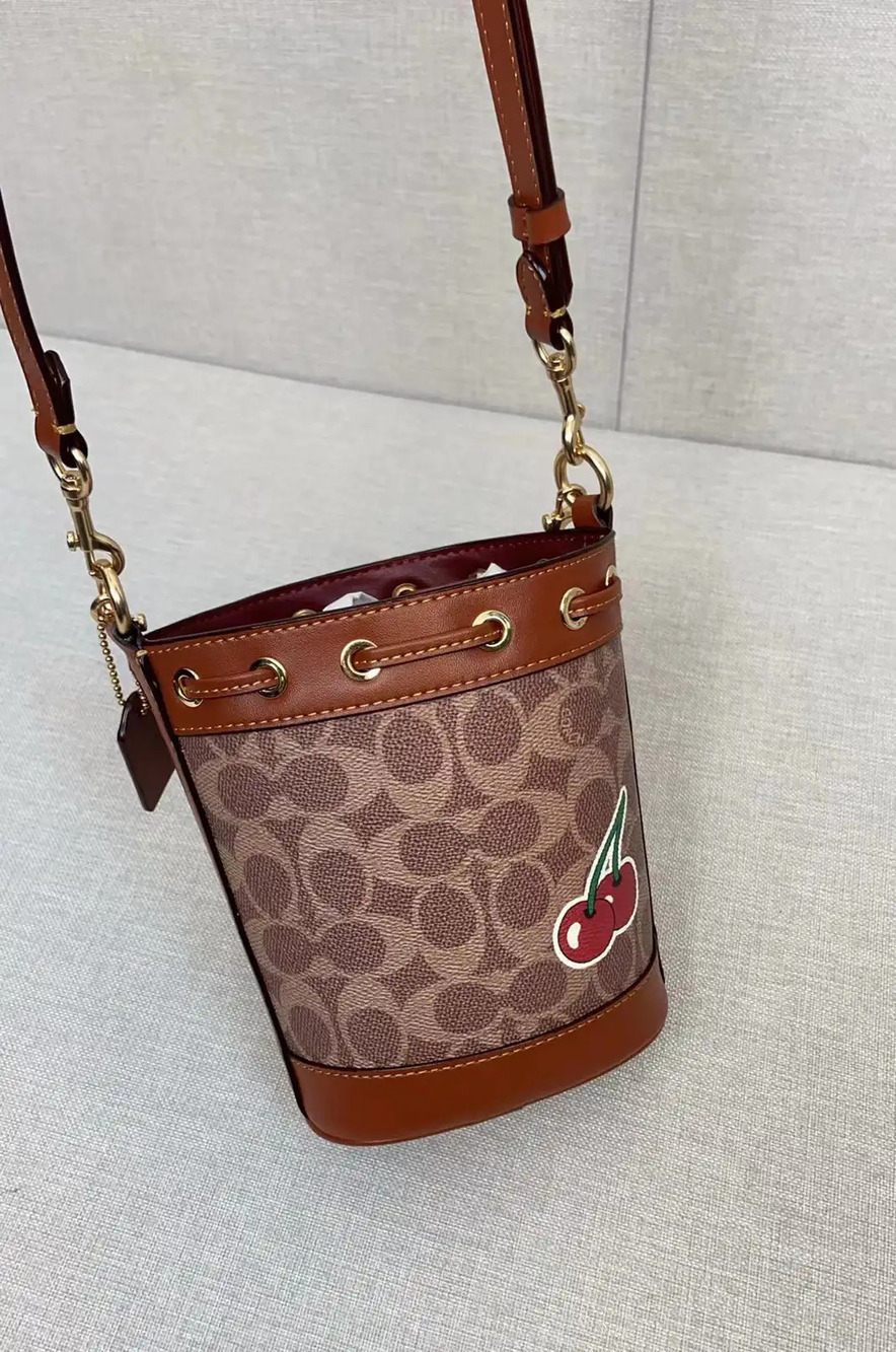 Coach reddish-brown dinosaur bucket bag - Picture 6 of 8